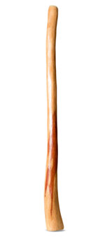 Medium Size Natural Finish Didgeridoo (TW1467)